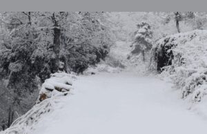 Alerten sobre els efectes de les nevades i el risc d’allaus a les carreteres de Catalunya